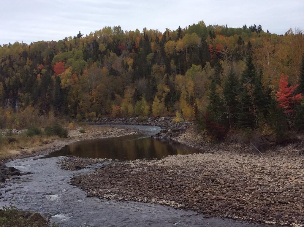 Camping Le 4 Chemins LʼAnse-Saint-Jean Kamer foto