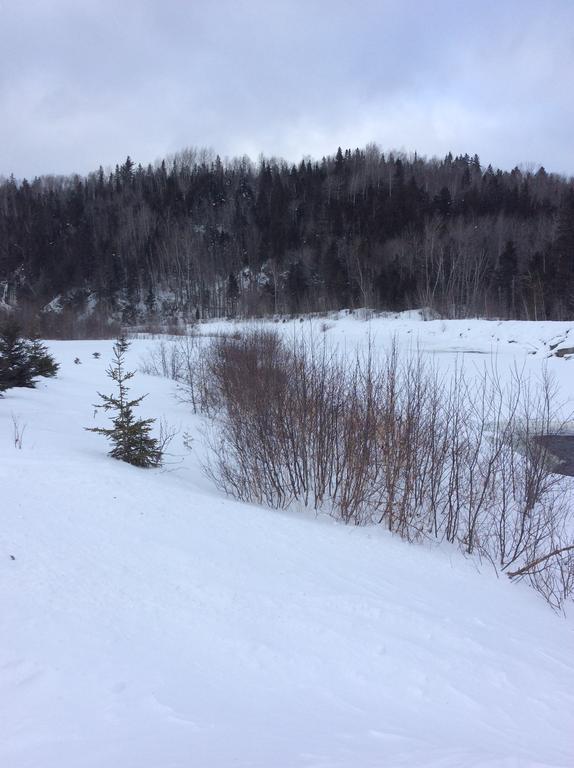 Camping Le 4 Chemins LʼAnse-Saint-Jean Buitenkant foto