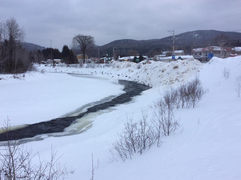 Camping Le 4 Chemins LʼAnse-Saint-Jean Buitenkant foto