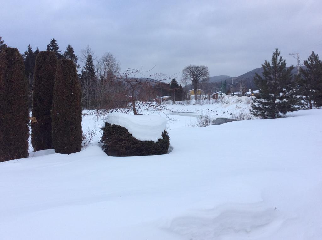 Camping Le 4 Chemins LʼAnse-Saint-Jean Buitenkant foto